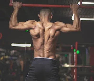 Bulk up